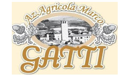 Gatti Marco