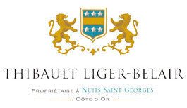 Thibault Liger-Belair